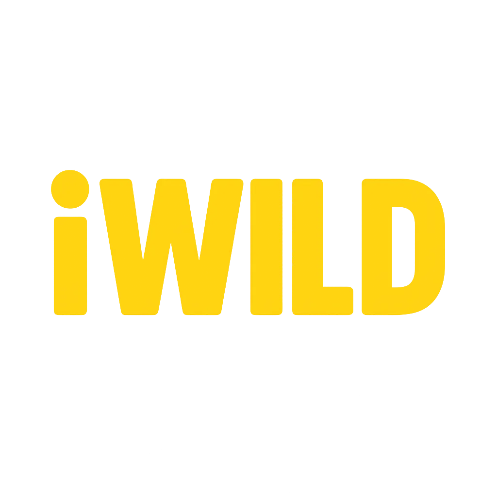 Iwild Casino